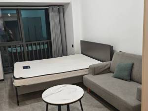 万科金融中心 1室1厅1卫37㎡_佛山禅城区季华租房图片