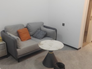 万科金融中心 1室1厅1卫37㎡_佛山禅城区季华租房图片