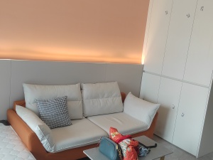 万科金融中心 1室1厅1卫37㎡_佛山禅城区季华租房图片