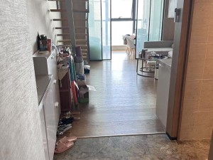 长华国际商业中心 1室1厅1卫73㎡_佛山南海区狮山租房图片