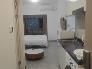 万科金融中心 1室1厅1卫37㎡_佛山禅城区季华租房图片