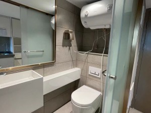 时代天韵 1室1厅1卫33.33㎡_时代天韵租房卫生间图片4