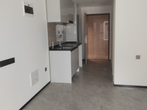 万科金融中心 1室1厅1卫37㎡_佛山禅城区季华租房图片