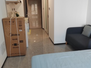 万科金融中心 1室1厅1卫32㎡_佛山禅城区季华租房图片