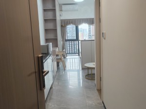 万科金融中心 1室1厅1卫37㎡佛山禅城区季华租房图片