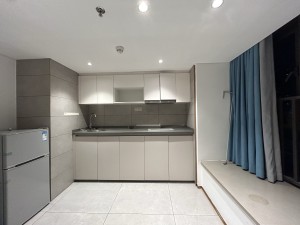 时代天韵 2室1厅1卫70.36㎡_时代天韵租房厨房图片4