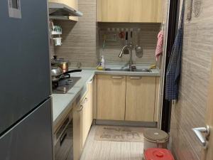 佛山万科广场 2室2厅1卫90㎡_佛山万科广场租房厨房图片4